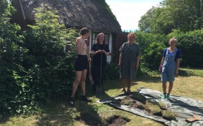 Studerende graver fynske baghaver op