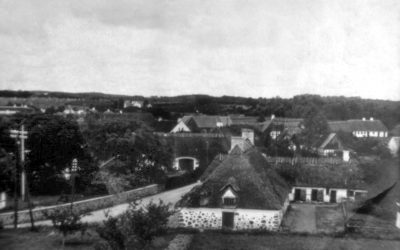 ÅRETS JULEGAVE TIL MORFAR: STAVN 2020