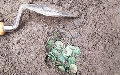 Kæmpe vikingeskat fundet på Fyn