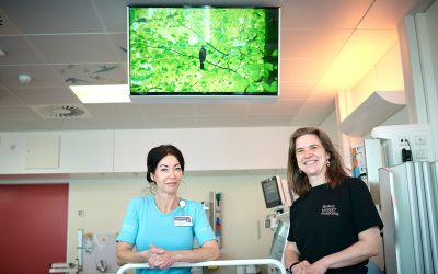 Natur-opvågning på OUH bliver del af udstilling